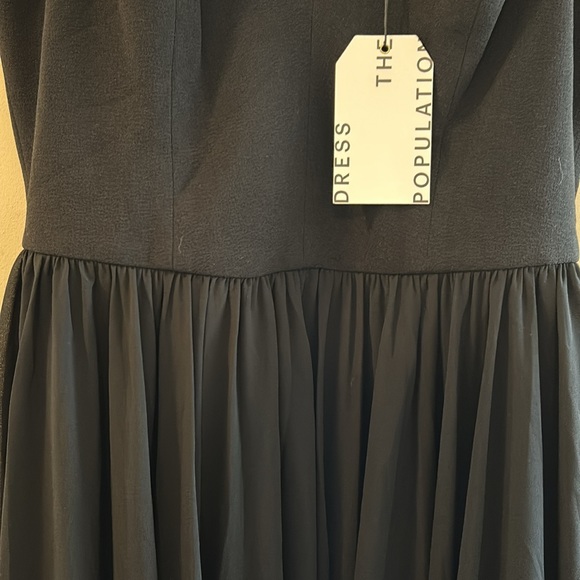 NWT, dress the population ‘Alicia’ plunging sleeveless fit and flare, size L - Picture 3 of 9